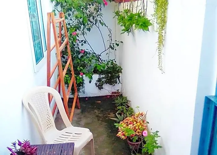 Gaja Go Dive & Inn